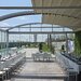 Lyan Events Cernica-Evenimente in aer liber cu piscina si gradina